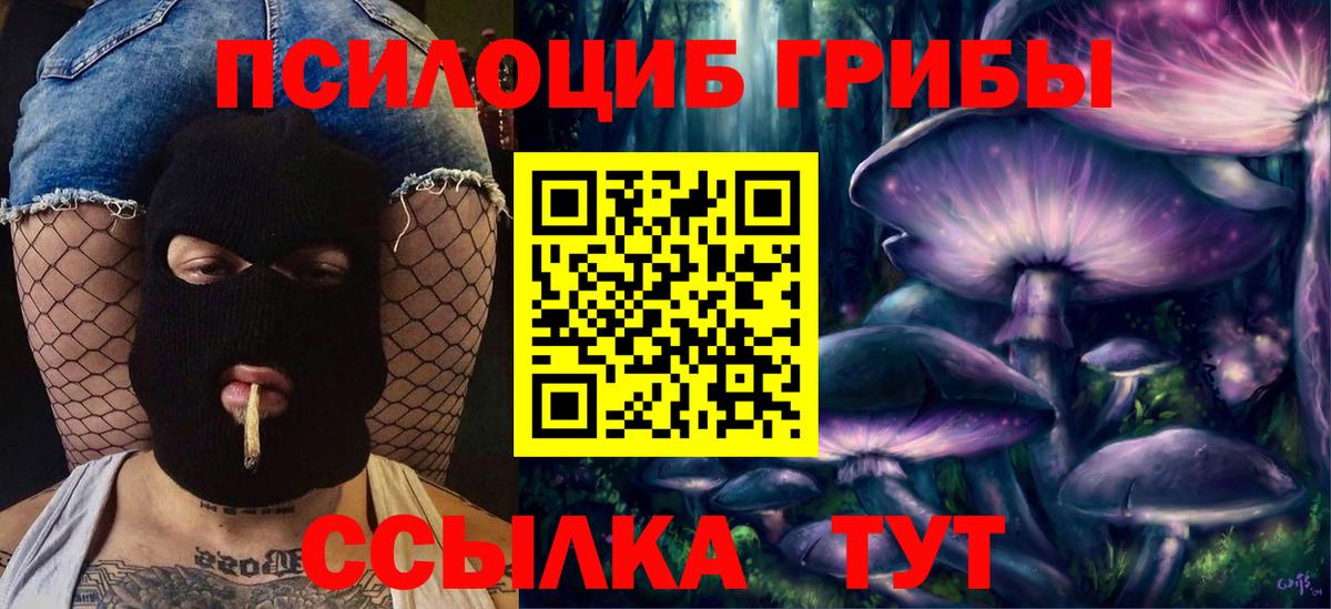 Сегежа  Галлюциногенные грибы Magic Shrooms  Вход с VPN 